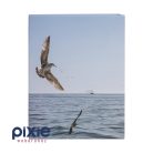 Hajó a tengeren mintás fotóalbum, 100 db-os