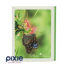 Pillangós fotóalbum, 100 db-os