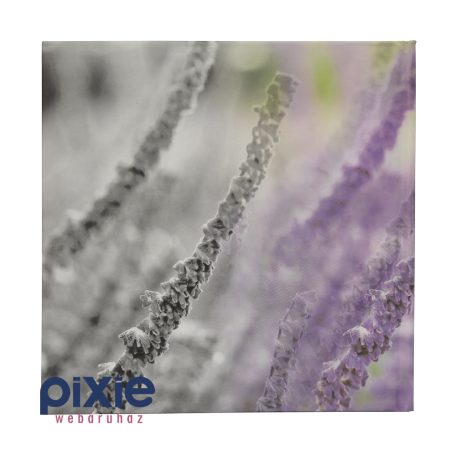 Levendula mintás fotóalbum, 50 db-os