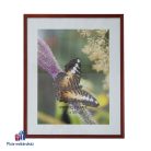 Képkeret falra akasztható 40x50 cm-es (mahagóni)